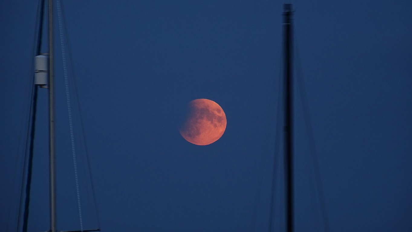 mofi_20190716_003.jpg