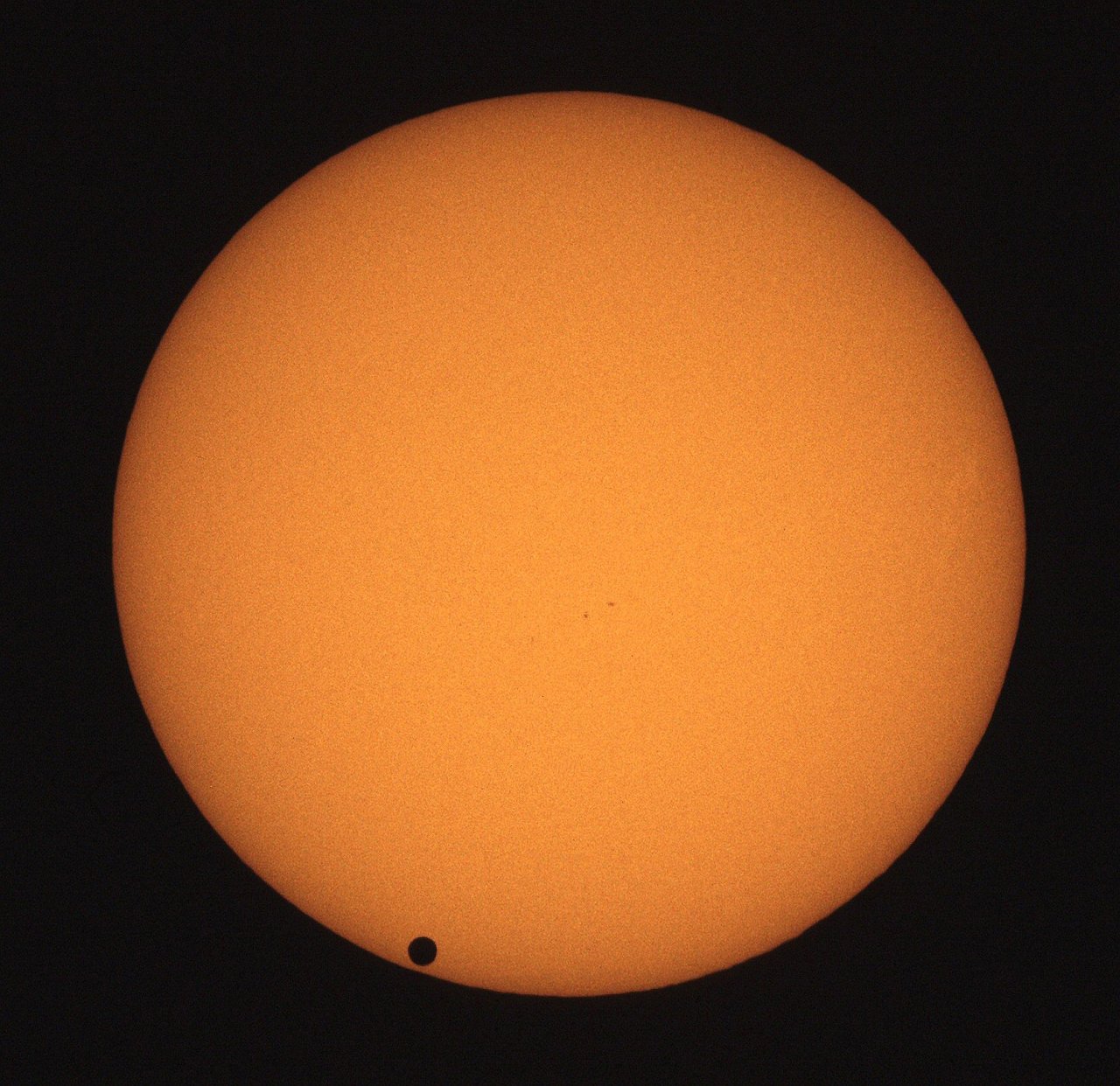 venustransit_001.jpg